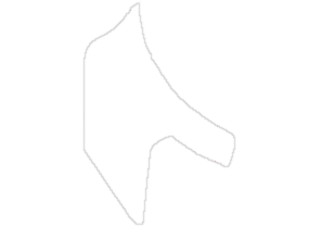 Daizyp