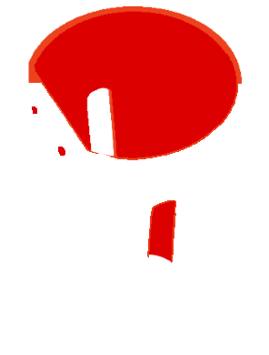 Daizyp