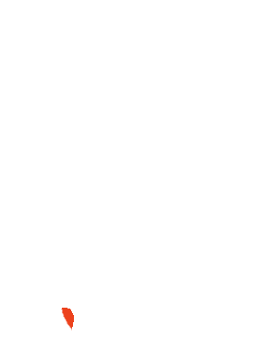 Daizyp