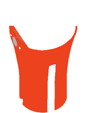 Daizyp